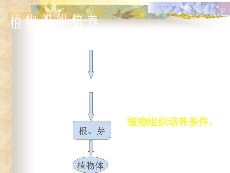 生物：2.2《现代生物技术在育种上的应用》课件（3）（新人教版选修2）02