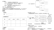 人教版 (新课标)必修1《分子与细胞》第3节 遗传信息的携带者──核酸导学案