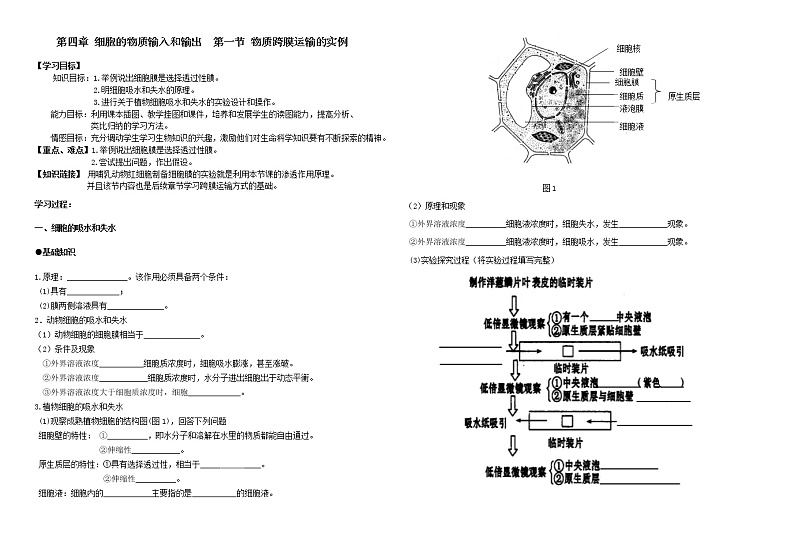14.第四章 第一节 物质跨膜运输的实例(导学案)01