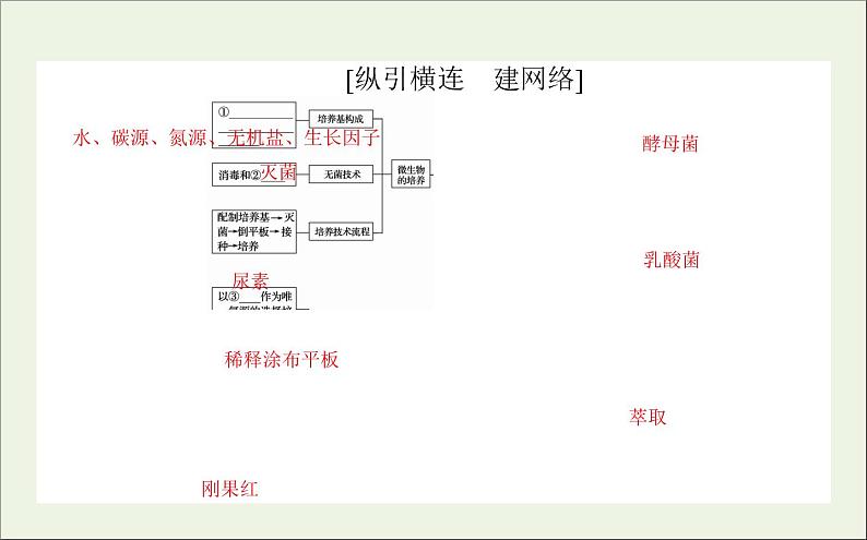 2021高考生物二轮复习8生物技术实践课件03