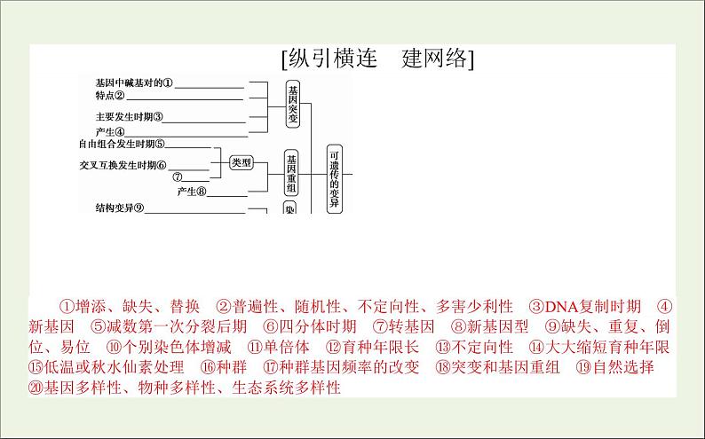 2021高考生物二轮复习4.3生物变异育种与进化课件03