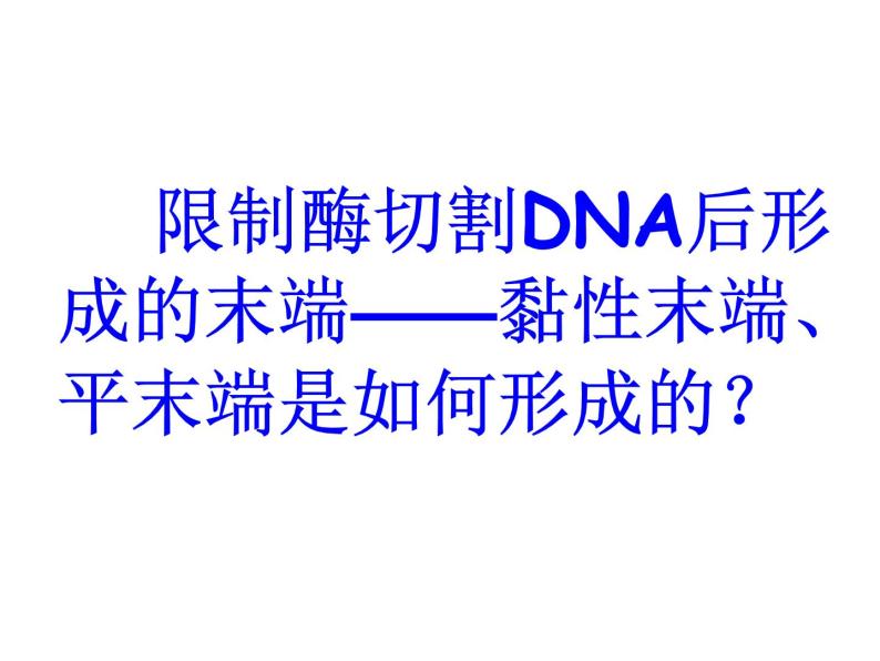 生物：1.1 《DNA重组技术的基本工具》课件2（新人教版选修3）06