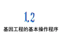 生物：1.2《基因工程的基本操作程序》课 件（新人教版选修3） 课件