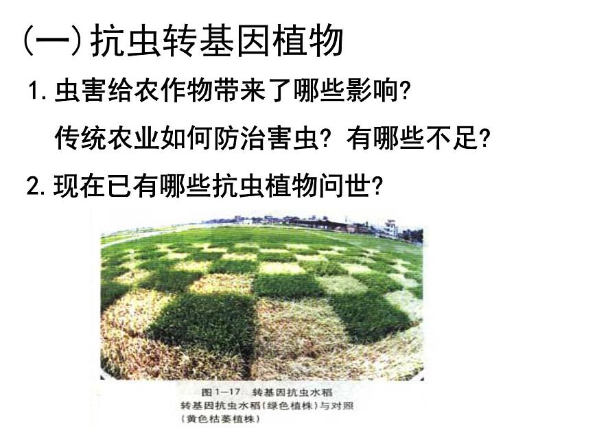 生物：1.3《基因工程的應(yīng)用》課件2（新人教版選修3）第4頁(yè)