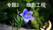 高中生物人教版 (新课标)选修3《现代生物科技专题》本节综合图片课件ppt