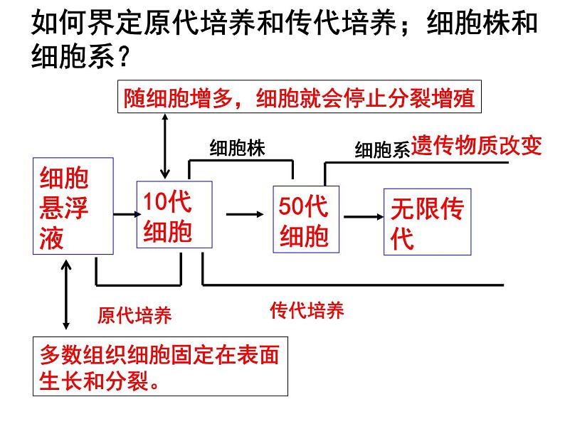 生物:2.2《动物细胞工程》课件(10)(新人教版选修3)04