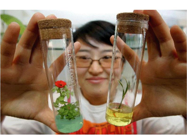 生物:专题2《细胞工程》课件(1)(新人教版选修3)06