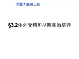 生物：3.2《体外受精和早期胚胎发育》课件（新人教版选修3）