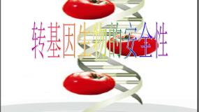 2021学年4.1 转基因生物的安全性课文内容ppt课件