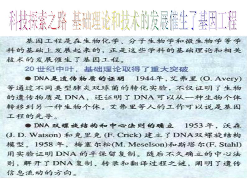 生物：《现代生物科技专题》课件（4）（新人教版选修3）02