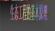 高中人教版 (新课标)5.1 生态工程的基本原理课堂教学ppt课件