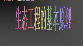 高中人教版 (新课标)5.1 生态工程的基本原理课堂教学ppt课件