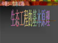 高中人教版 (新课标)5.1 生态工程的基本原理课堂教学ppt课件
