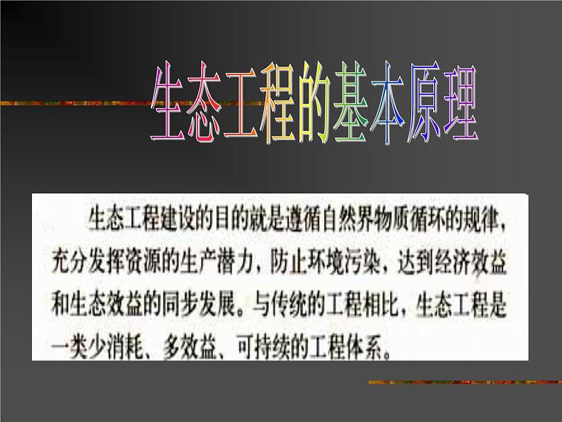 生物:5.1《生态工程的基本原理》课件(2)(新人教版选修3)07