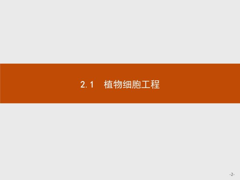 高中生物人教版选修3课件：2.1.1 植物细胞工程的基本技术02