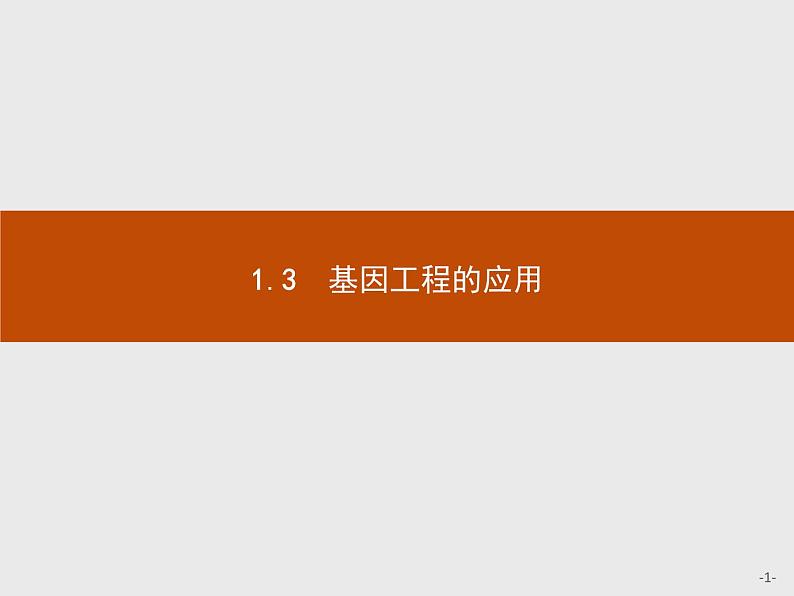 高中生物人教版选修3课件:1.3 基因工程的应用01