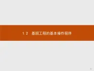 高中生物人教版选修3课件：1.2 基因工程的基本操作程序