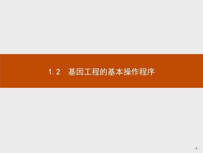 高中生物人教版选修3课件：1.2 基因工程的基本操作程序01