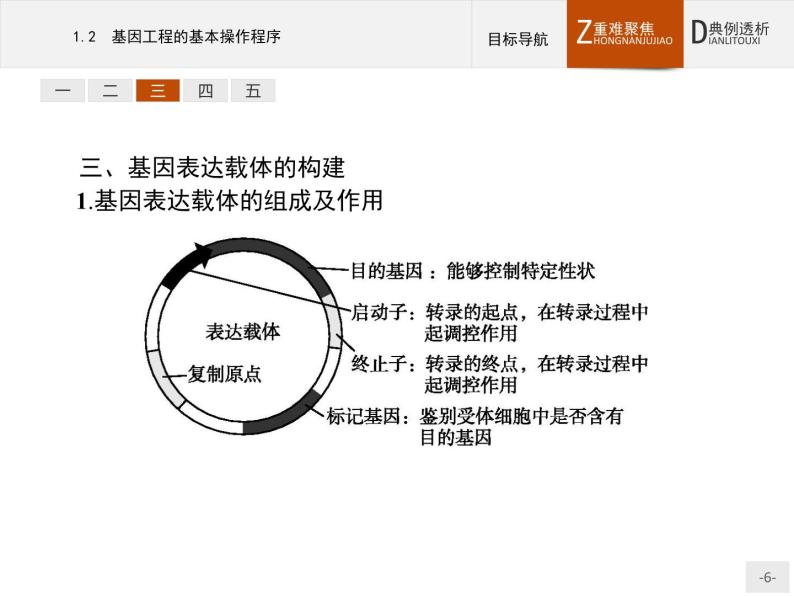 高中生物人教版选修3课件：1.2 基因工程的基本操作程序06