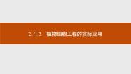 高中2.1.2 植物细胞工程的实际应用备课课件ppt