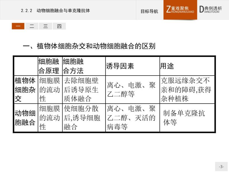 高中生物人教版选修3课件：2.2.2 动物细胞融合与单克隆抗体03