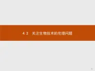 高中生物人教版选修3课件：4.2 关注生物技术的伦理问题