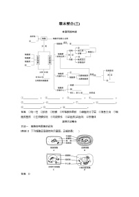 生物必修1《分子与细胞》第三章 细胞的基本结构综合与测试巩固练习