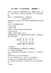 高中生物人教版 (新课标)必修1《分子与细胞》第五章 细胞的能量供应和利用第3节 ATP的主要来源──细胞呼吸课时练习