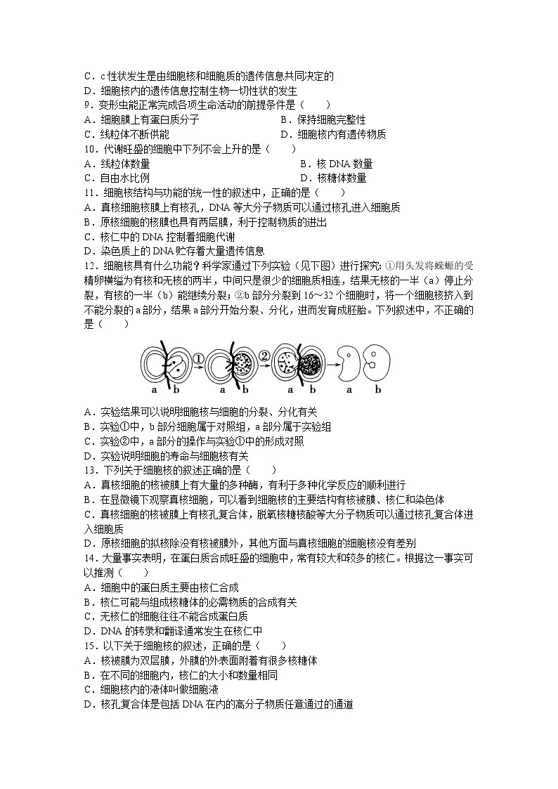 新人教版高中生物必修一《细胞核》测试题02