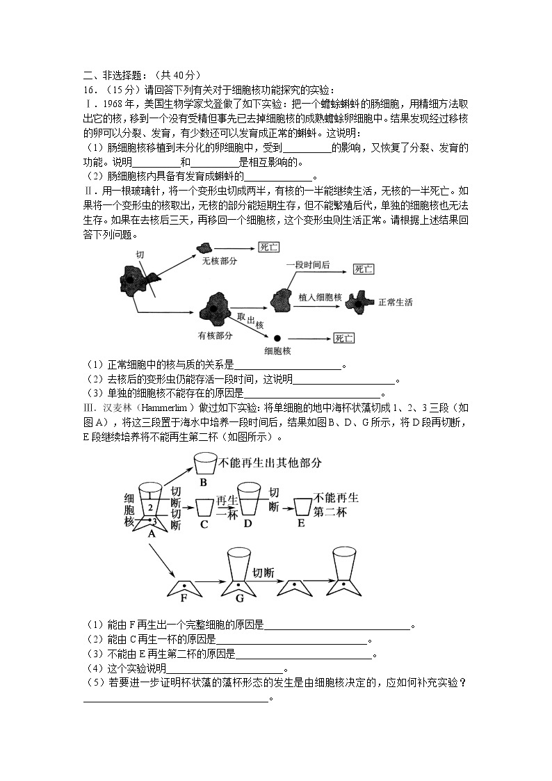 新人教版高中生物必修一《细胞核》测试题03