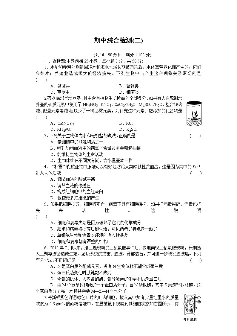 生物人教版必修1:期中综合检测(二) Word版含解析01
