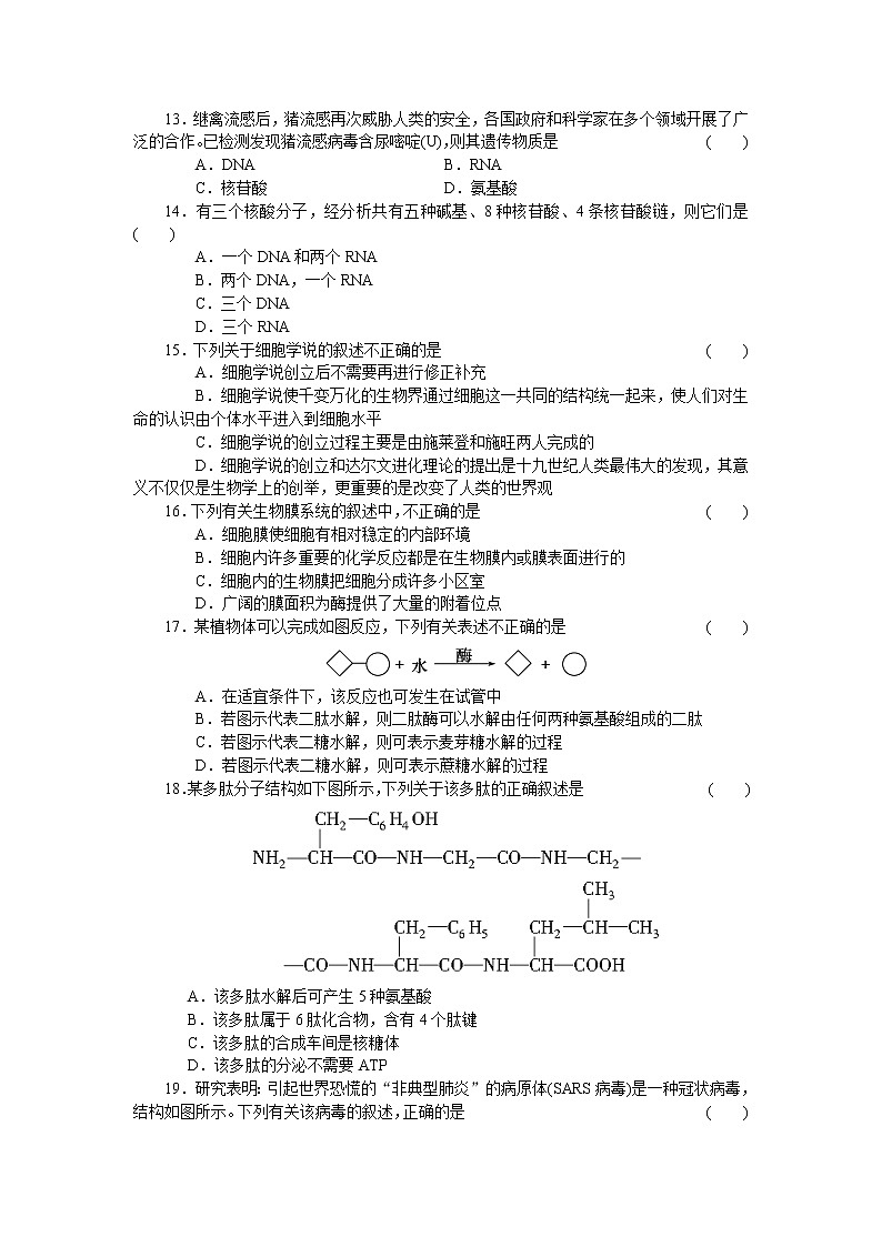 生物人教版必修1:期中综合检测(二) Word版含解析03