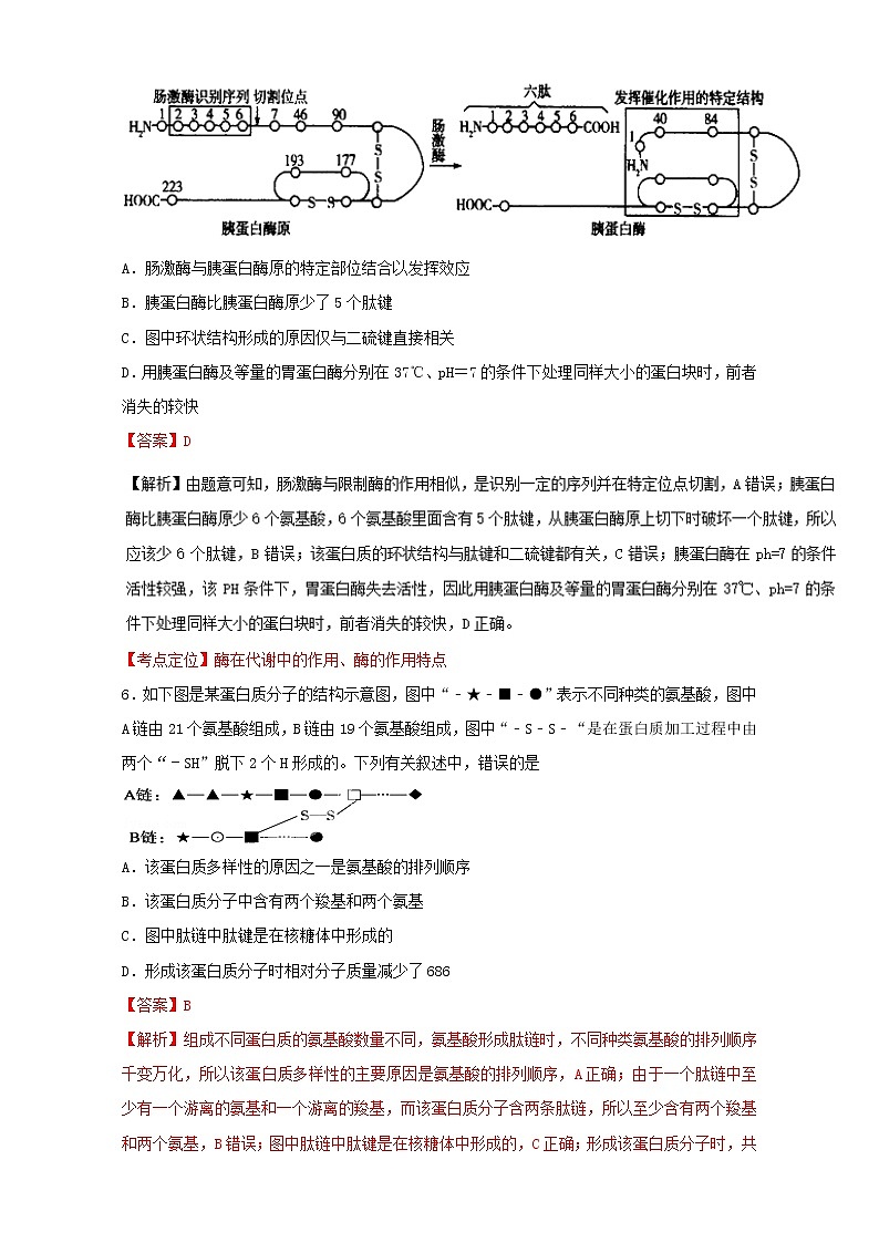 专题03 小题好拿分(提升版)-上学期期末考试高一生物备考黄金30题(解析版)Word版含解析03