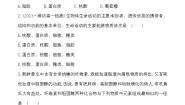 高中生物人教版 (新课标)必修1《分子与细胞》第4节 细胞的癌变随堂练习题