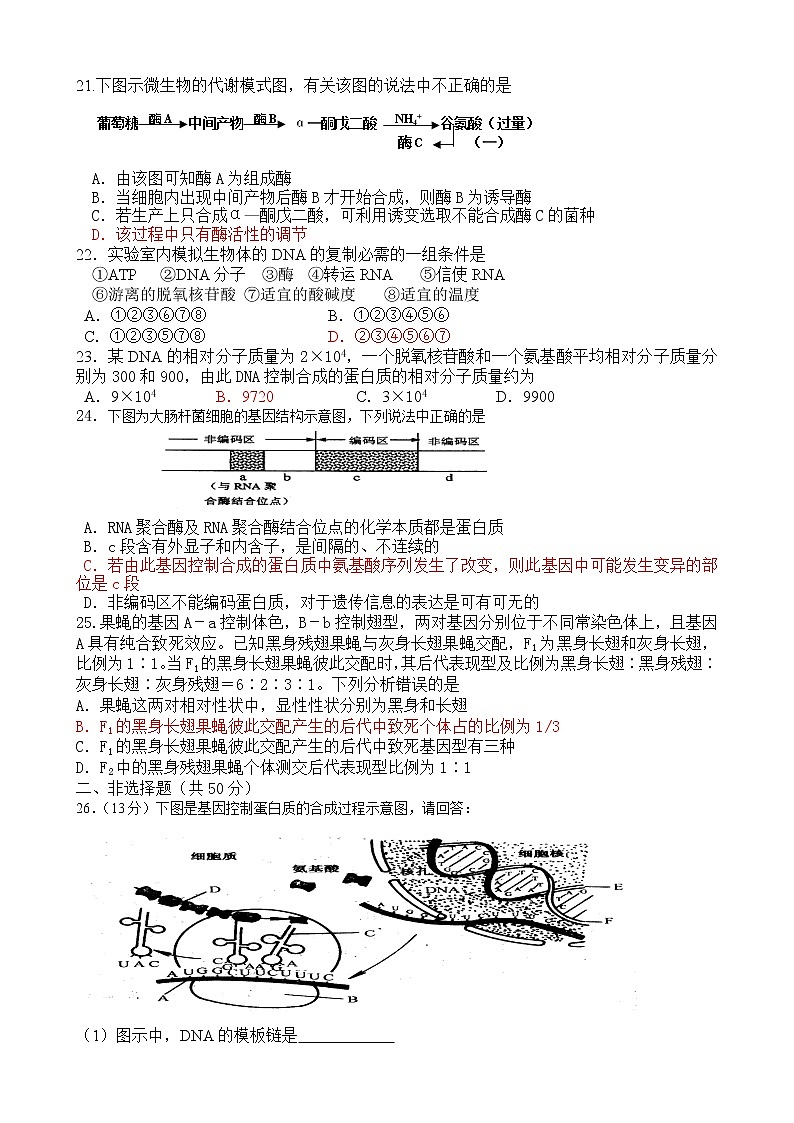海南省文昌中学生物必修2第3、4单元测试第3页