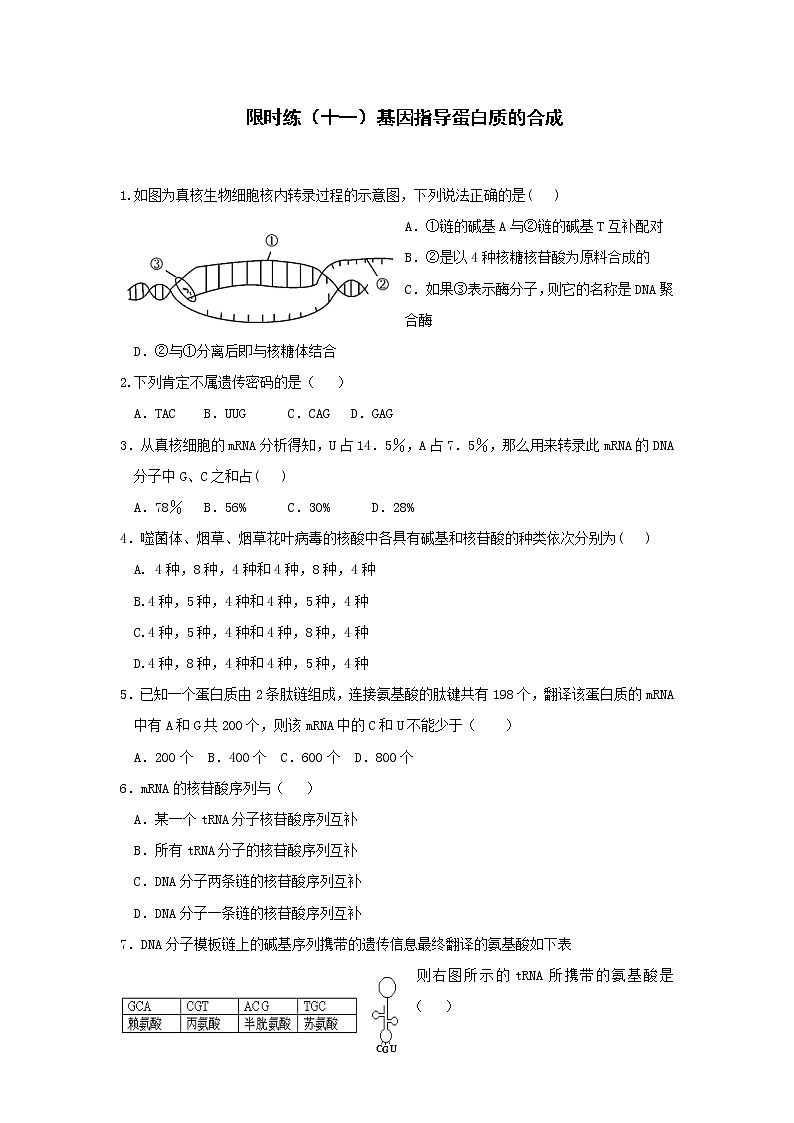 高一生物必修二课时训练:+4.1+基因指导蛋白质的合成+Word版含答案第1页