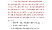 高中生物人教版 (新课标)必修2《遗传与进化》第1节 杂交育种与诱变育种第2课时课时作业