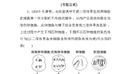高中生物必修二第二篇+模块高考对接篇+Word版含答案
