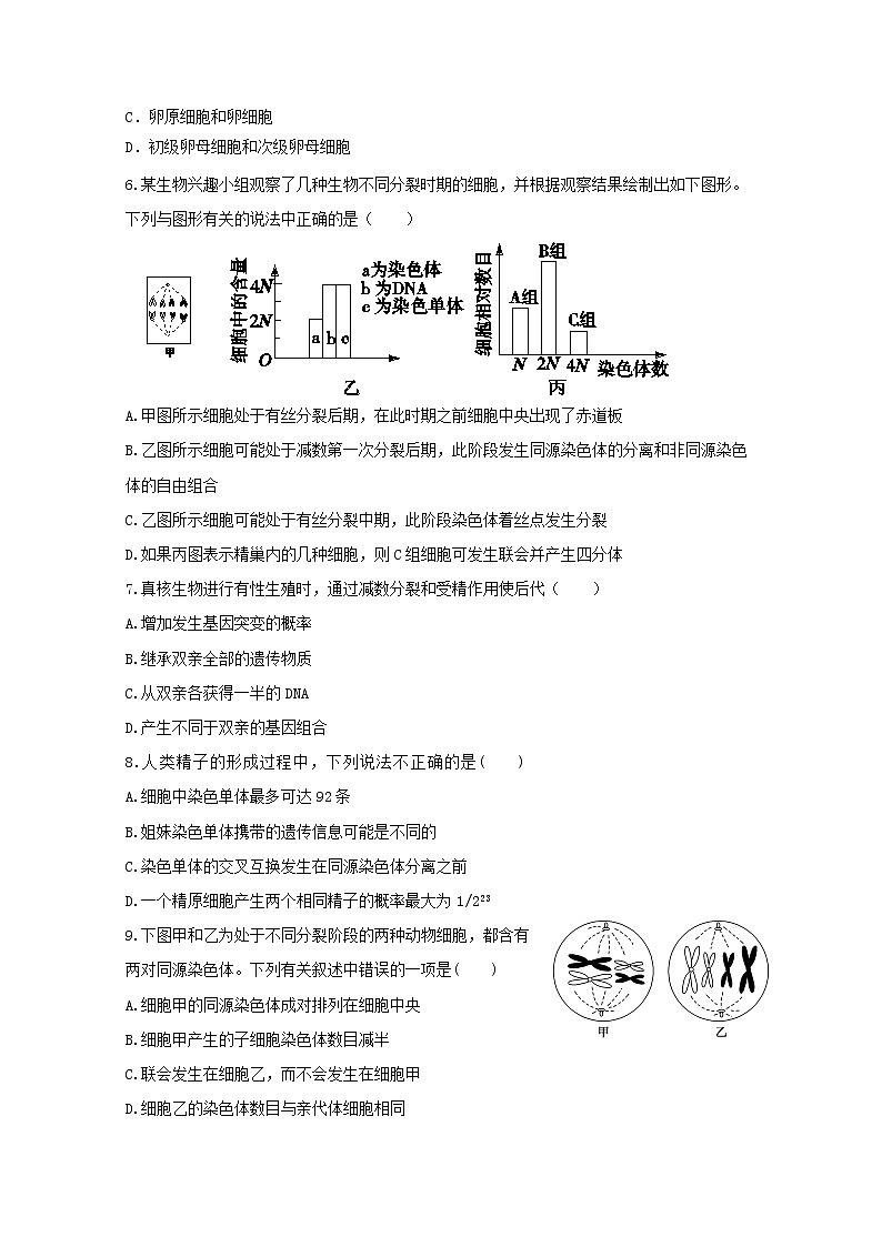 (人教版)高一生物必修二同步练习 2.1减数分裂和受精作用 word版含答案第2页