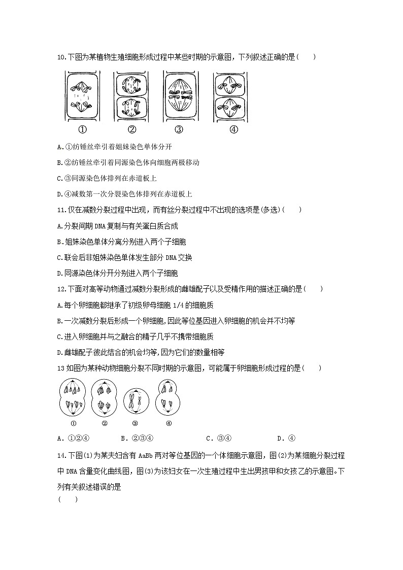 (人教版)高一生物必修二同步练习 2.1减数分裂和受精作用 word版含答案第3页
