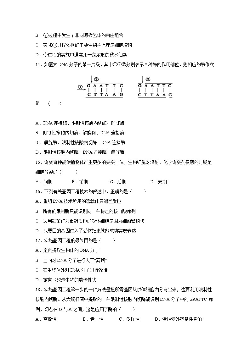 (人教版)高一生物必修二同步练习 6.2基因工程及其应用 word版含答案第3页