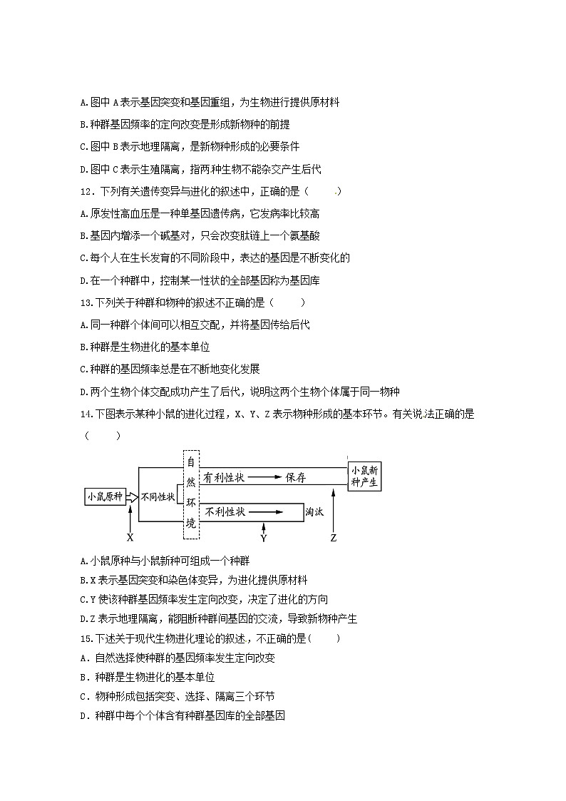 (人教版)高一生物必修二同步练习 7.2现代生物进化理论的主要内容 word版含答案第3页