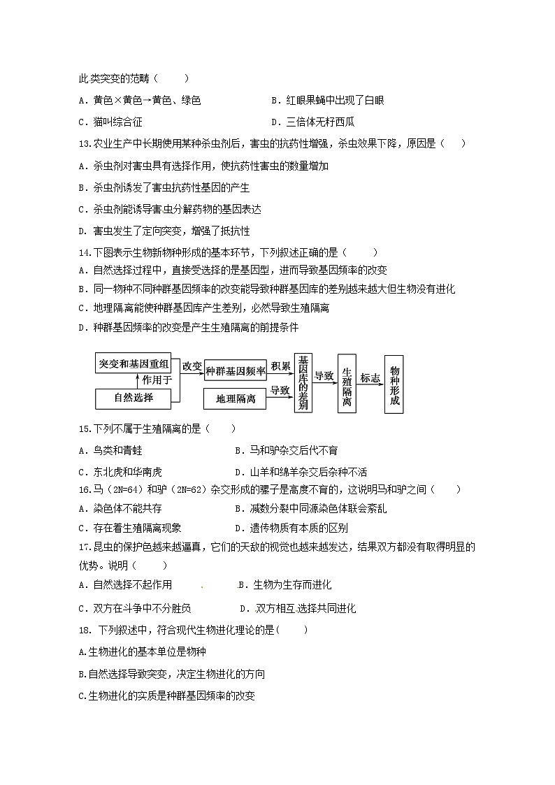 (人教版)高一生物必修二同步练习 7.1现代生物进化理论的由来 word版含答案03