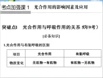 高考生物一轮复习_考点加强课1_光合作用的影响因素及其应用课件_新人教版