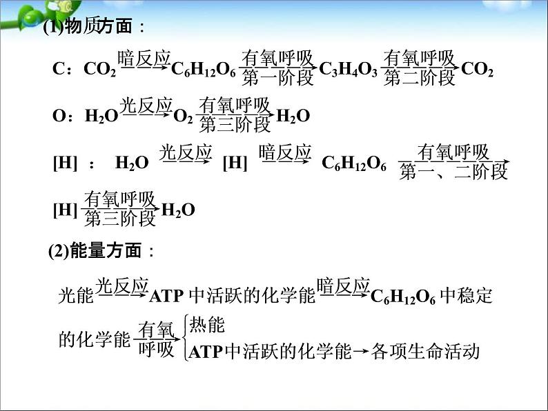 高考生物一轮复习_考点加强课1_光合作用的影响因素及其应用课件_新人教版第4页
