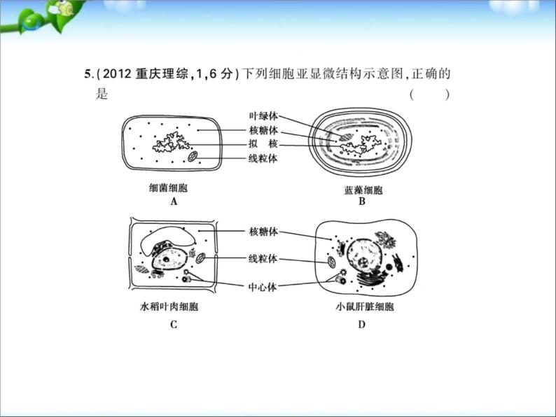 高考生物一轮复习课件：专题2_细胞的结构和功能07