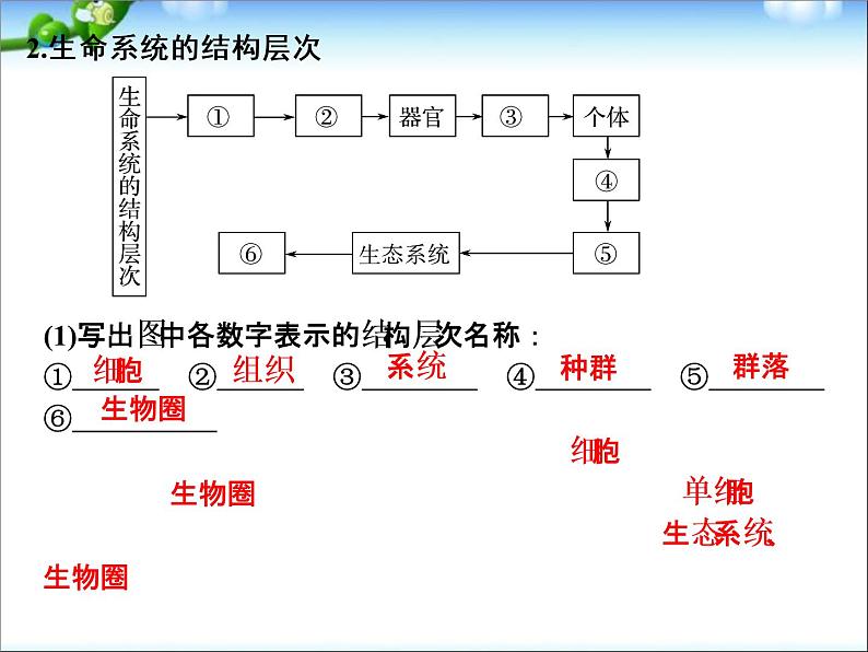 高考生物一轮复习_第1单元_细胞的分子组成_第1讲_借助显微镜走近细胞课件_新人教版第4页