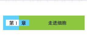 生物必修1《分子与细胞》第一章 走近细胞第1节 从生物圈到细胞课文ppt课件