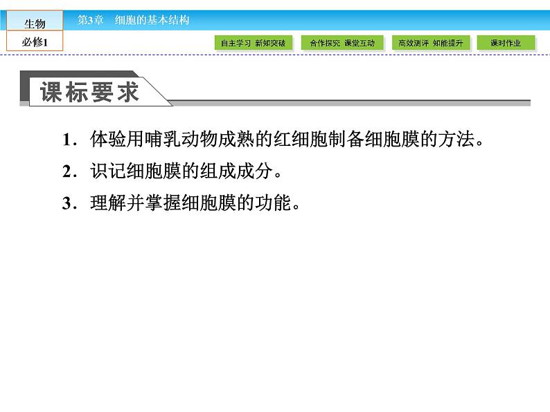 (人教版)高中生物必修一:3.1《细胞膜——系统的边界》ppt课件04