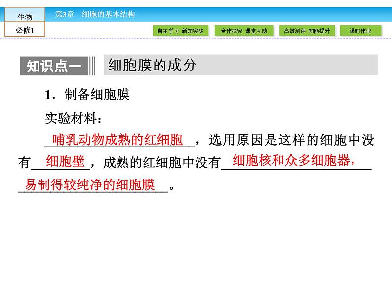 (人教版)高中生物必修一:3.1《细胞膜——系统的边界》ppt课件05